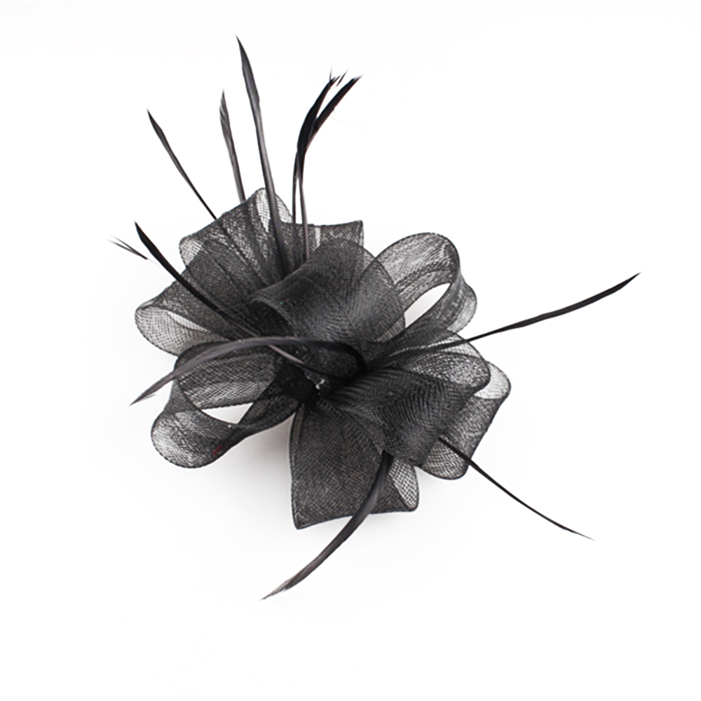 Feathers Ribbon Fascinator Hat - Women'S Fashion Kentucky Derby 评论和价格